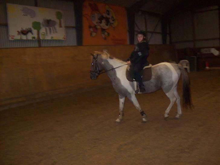 Anden særlig race Silwester R.I.P - den første dag morten ride ham den 2/10-08 billede 13