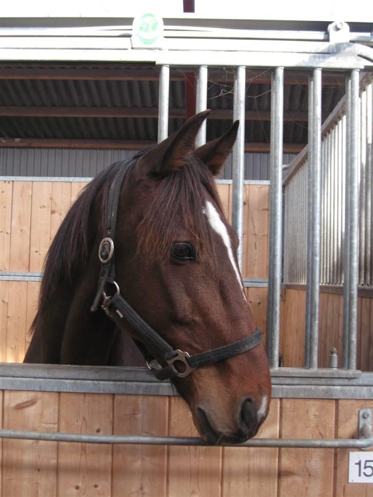 Traver Discovery - Foto: Trine Skovlund. billede 16