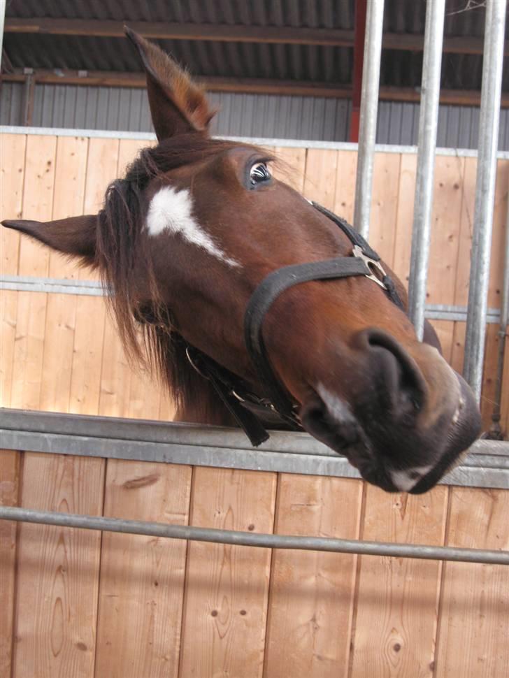 Traver Discovery - Foto: Trine Skovlund. billede 18