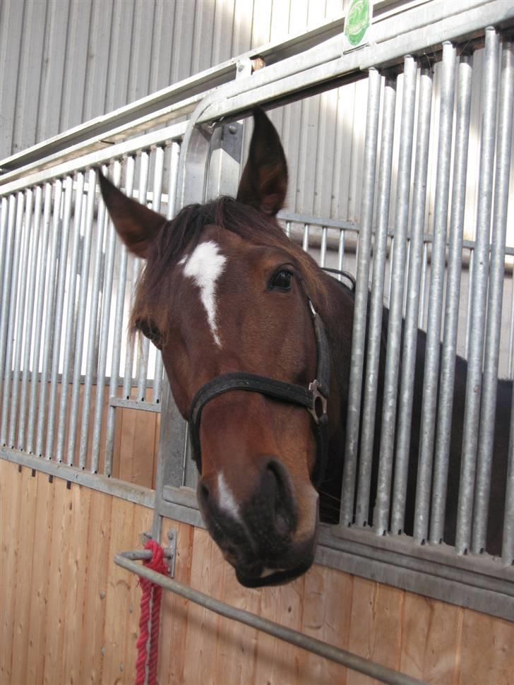 Traver Discovery - Foto: Trine Skovlund. billede 19