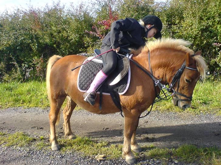 Anden særlig race pippi<3 - nogen syntes det ligner at jeg er ved at falde af <3men det er jeg ikke :) billede 3