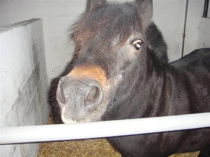 {{currentPhoto.altText}} billede {{currentPhoto.number}}