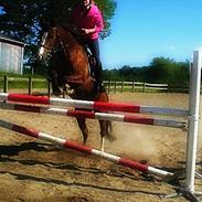 Anden særlig race duchess (gamle part)