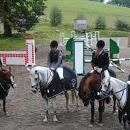 Irsk Sportspony Ballingown lad