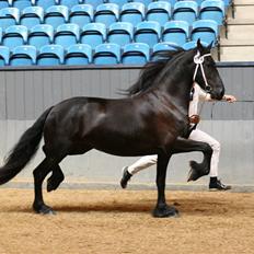 Frieser Lisbeth fan Hylpen