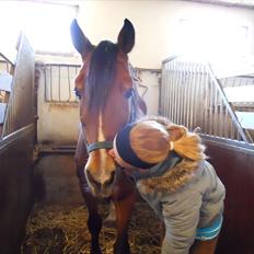 Anden særlig race Torja (Halvpart)