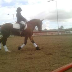 Anden særlig race Torja (Halvpart)