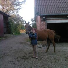 Traver Chalup Bangsbo