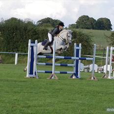 Irsk Sportspony Ballingown lad