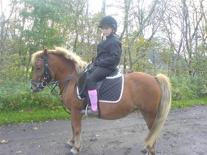 Anden særlig race pippi<3 - mig og pippi<3 billede 6