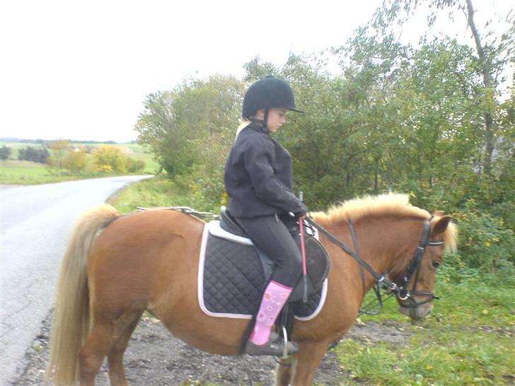 Anden særlig race pippi<3 billede 8