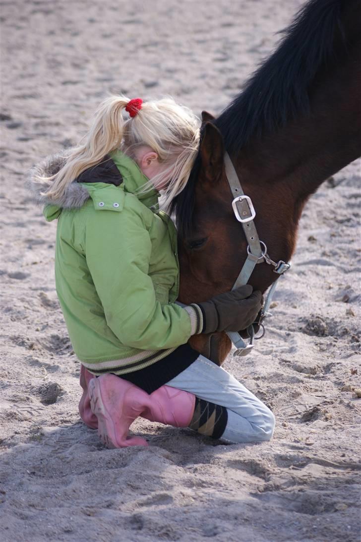 Anden særlig race | Forza Maldini | *UDLÅNT* - Du Er Mit Liv!!! <´3 Foto: Rikke (LJ-Foto) billede 12