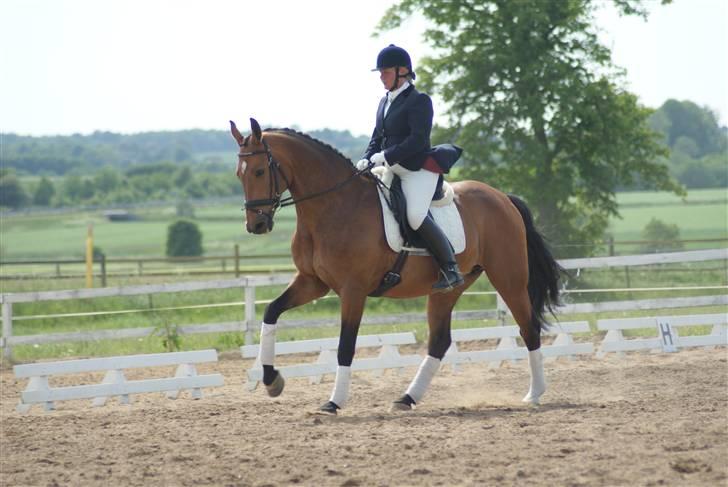 Dansk Varmblod Slandine-W RDH - Dine & Mor, stævne BOR 2009 - LA2 - Kontra Galop. billede 13