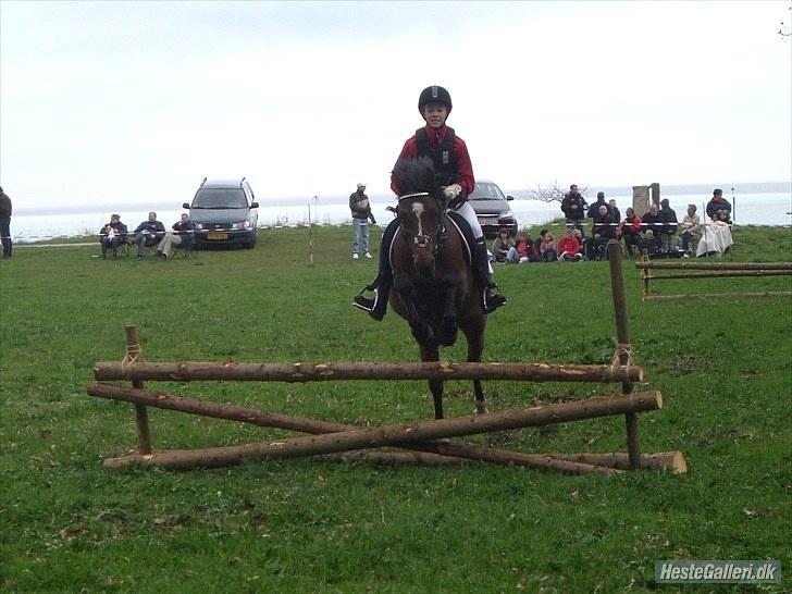 Anden særlig race | Forza Maldini | *UDLÅNT* - Gjorslev jagt! :D Du var så god Malle!!<3 Foto: Freja <3 billede 16