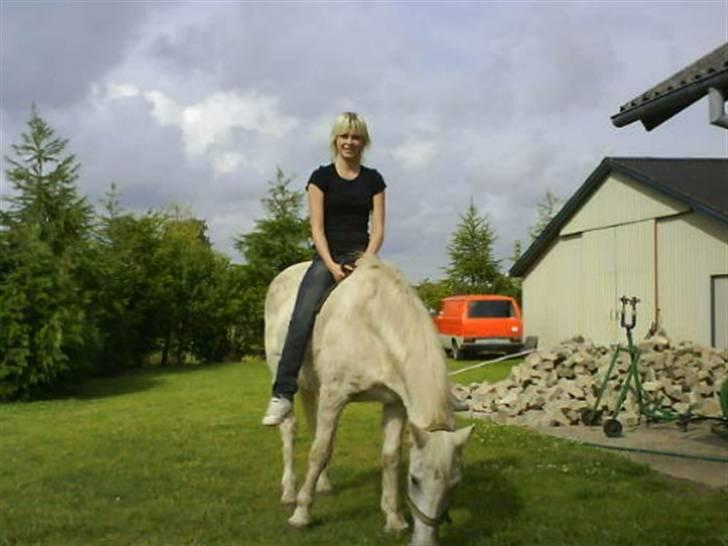 Anden særlig race Angelig Ligge R.I.P. billede 4