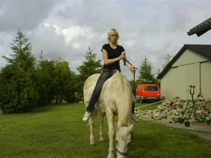 Anden særlig race Angelig Ligge R.I.P. billede 5