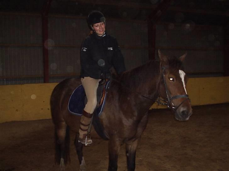 Anden særlig race jamie - katja og jamie billede 22