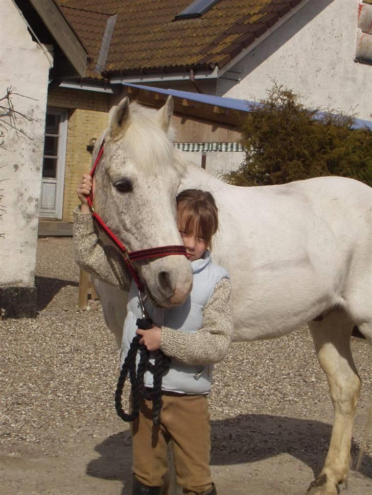 Anden særlig race † Fillur † *Alting* <3 - lige da jeg havde fået dig, den bedste dag i mit liv, du vil altid være i mit hjerte og tro mig skath, du er den der har den største plads af alle billede 14
