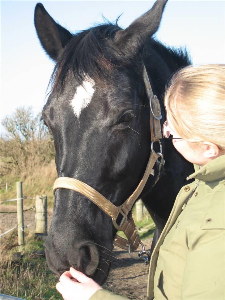 Anden særlig race Scarlet (gammel part) - Nyt * Scarlet og jeg i en hyggestund inden vi skal ud at ride. Fotograf Stine :-) billede 3