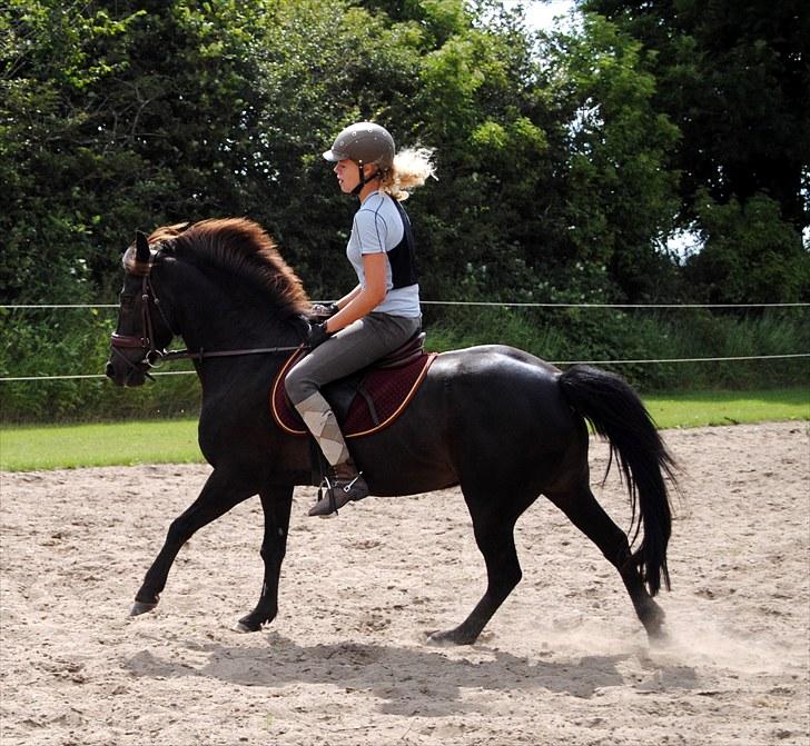 New Forest Cosmo spring pony - JEG ELSKER DIG ! ! ! <3 billede 11