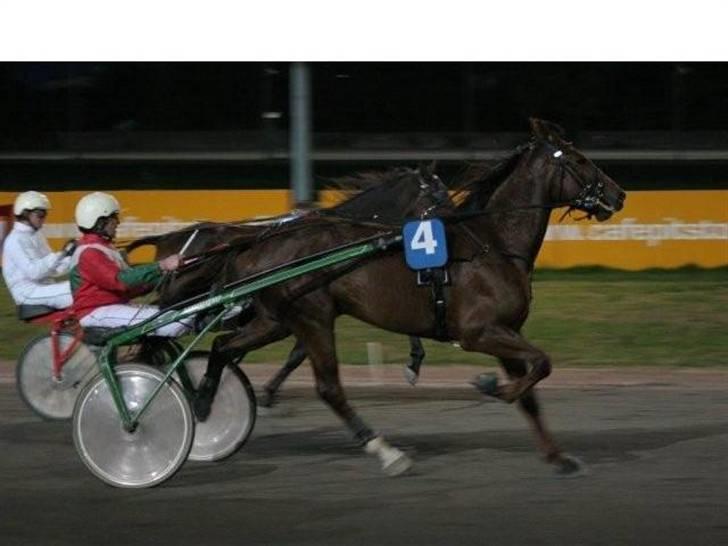 Traver Montana Sølvtop billede 7