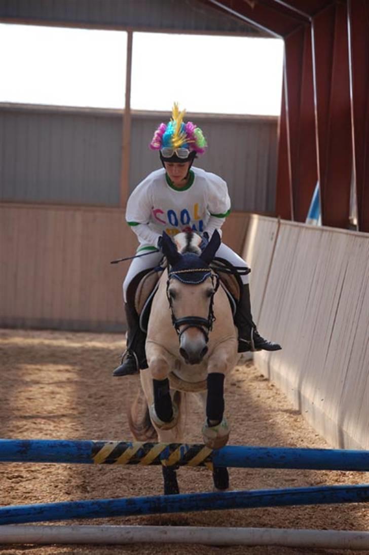 Fjordhest Sunshine Laban - NMRC - Stævne d. 2/8-09. Holdspring - cool man! :-D (Foto: Gregers Melchiorsen) billede 3
