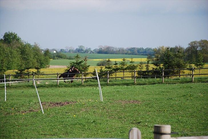 New Forest Igor - ‎"If you can't get someone off your mind, maybe they're supposed to be there. Remember. The mind can recognize what the heart is trying to deny." billede 3