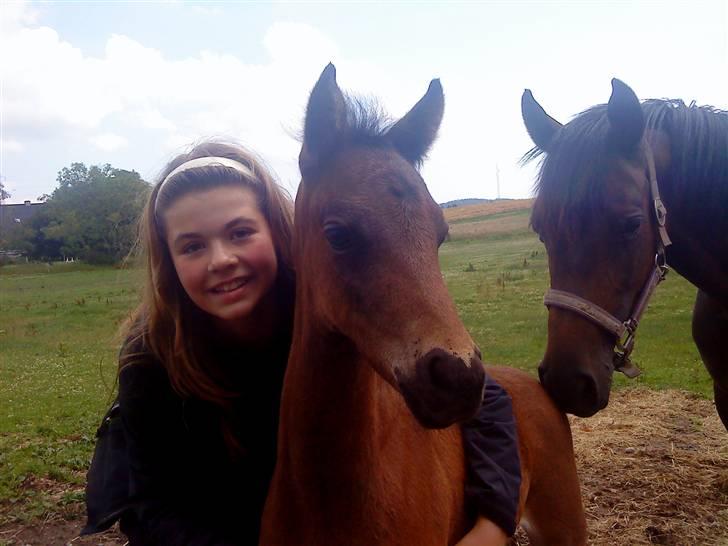 DSP No Me Glamour (solgt:`( ) billede 8