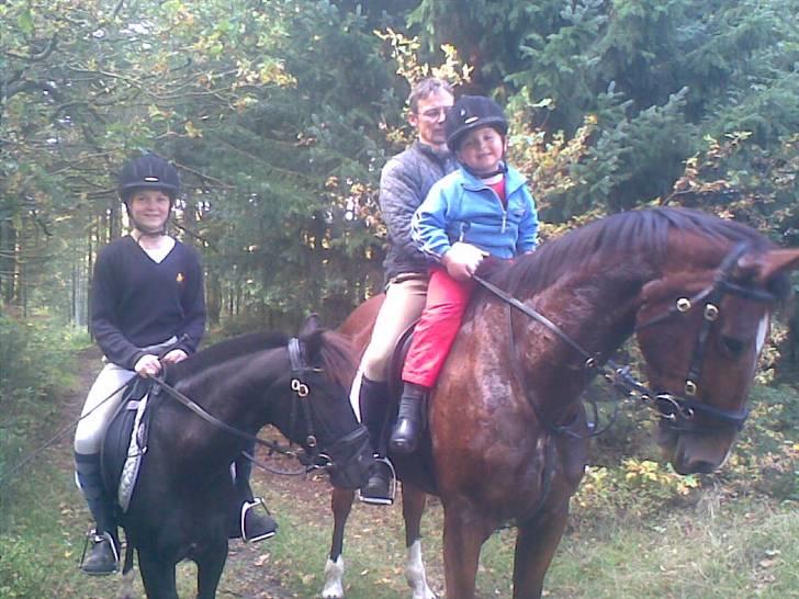 DSP Blackie<3 - Jonas og far på Courage og mig på Blackie. En rigtig hyggedag i skoven :) 12-10-08 billede 20