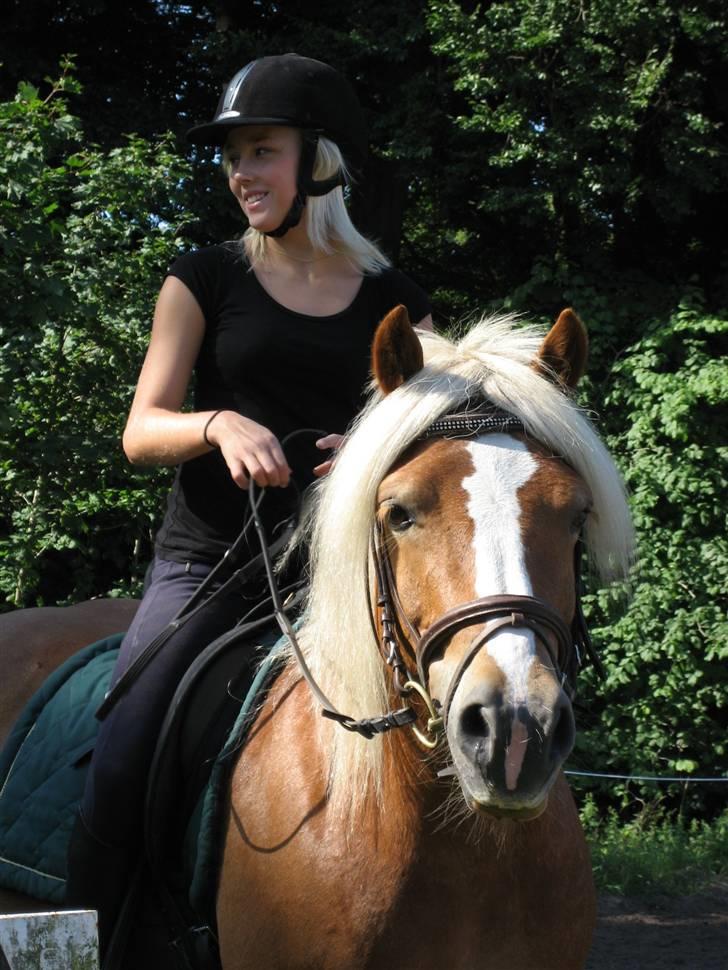 Haflinger Dreams Archi - Første gang jeg red dig ;(  billede 10