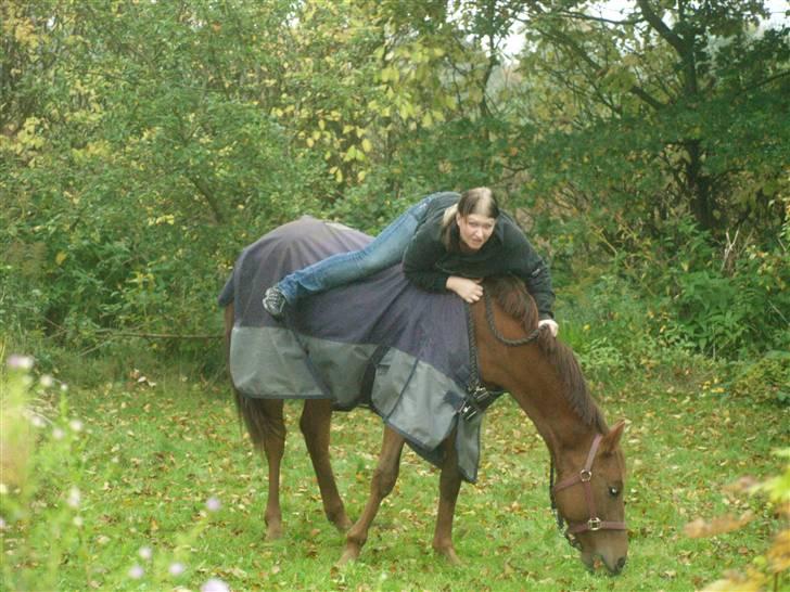 Anden særlig race Zafir*Solgt* :'( - NYT...tagt d 11/10-08.. hvor er han go min lille baby dreng... Foto Sabrina T billede 14
