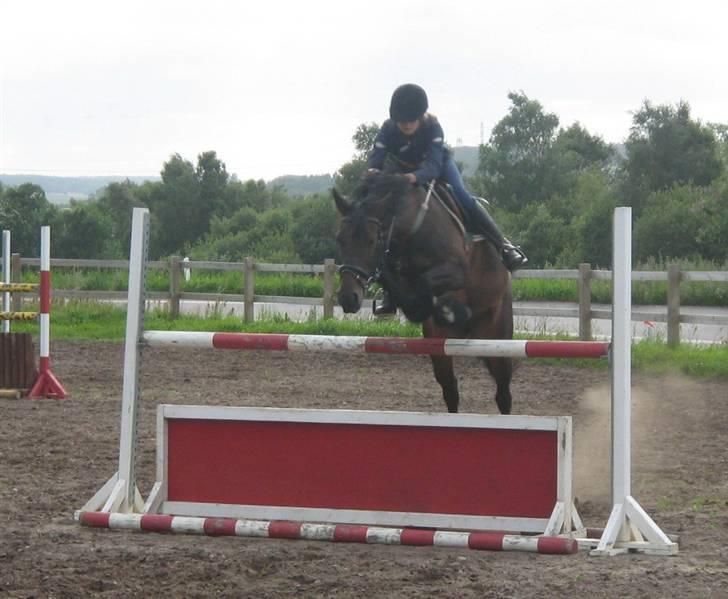 Anden særlig race Shakira (Solgt) - Spring ved Martin<33 billede 12