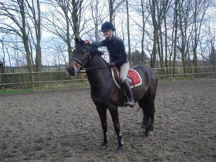 Anden særlig race Shakira (Solgt) - SMIL Skat<33:D billede 14