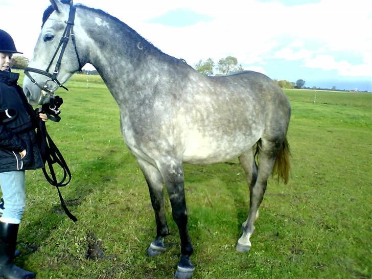 Anden særlig race Walter (SOLGT)... - Hva har du der  Emilie billede 4