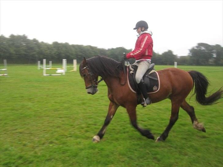 Anden særlig race Torja (Halvpart) - #1  Min prins!<3 billede 1