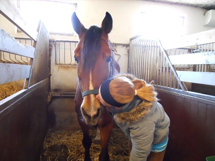 Anden særlig race Torja (Halvpart) - #2 billede 2