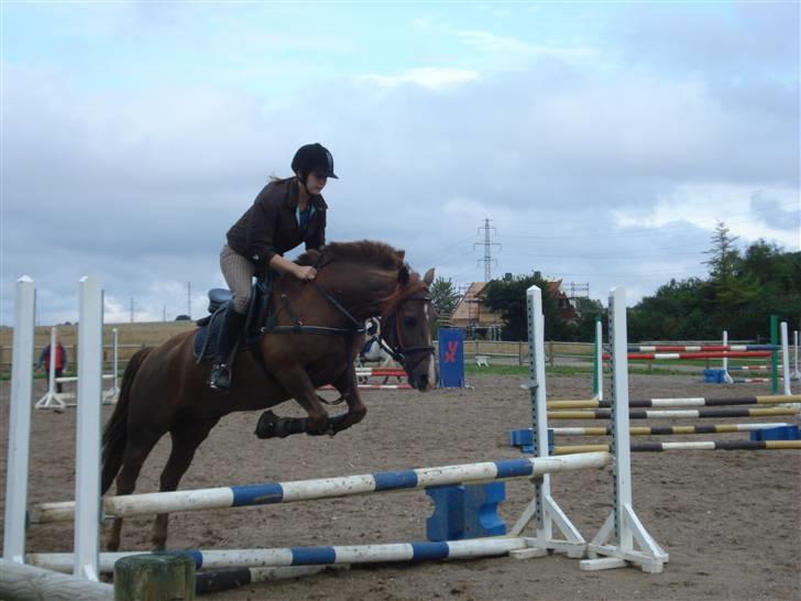 New Forest pinocchio   - På steengaarden og få undervisning af Mia Hastrup :´D billede 11