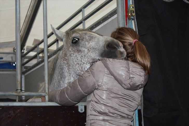New Forest Laterne |B-pony  - Bedst når vi er to, så ved jeg alting nok skal gå.  billede 18