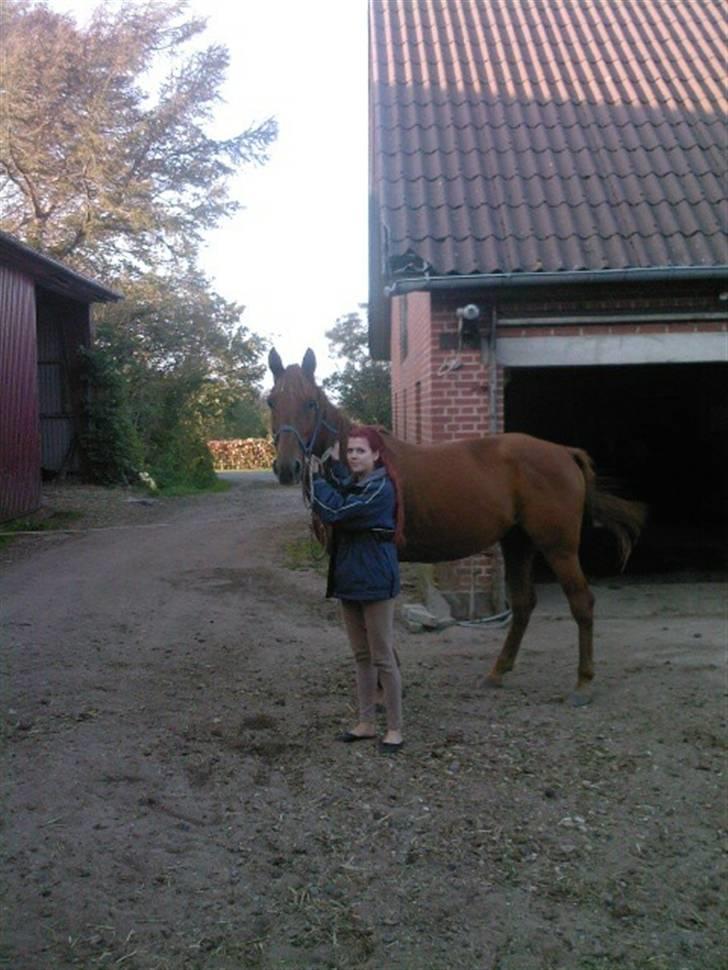 Traver Chalup Bangsbo billede 2