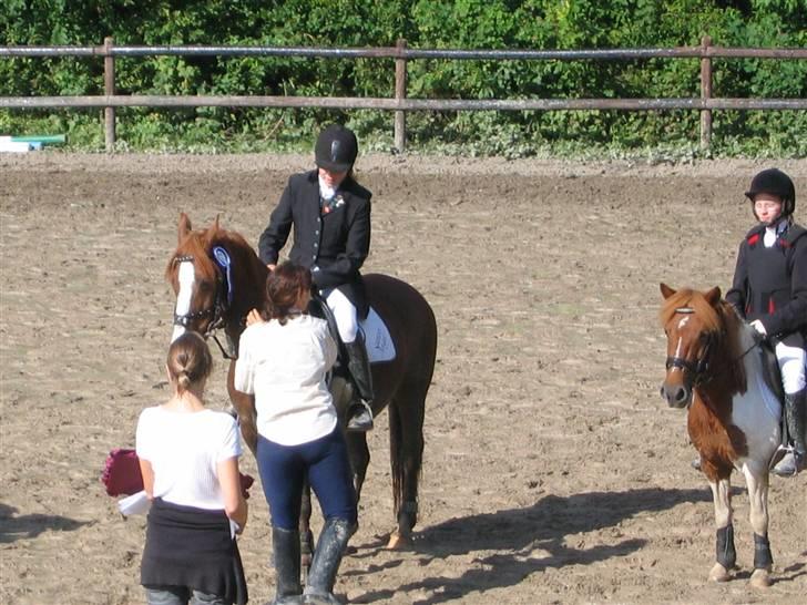 Hollandsk Sportspony Scarlett Angel [R.I.P] ;( - 2 plads i LC billede 4