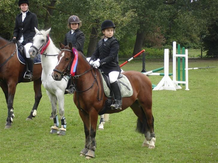 Anden særlig race Felipe *SOLGT ;'( * - Stævne efterår 2008 - sprang LE og fik en roset billede 17