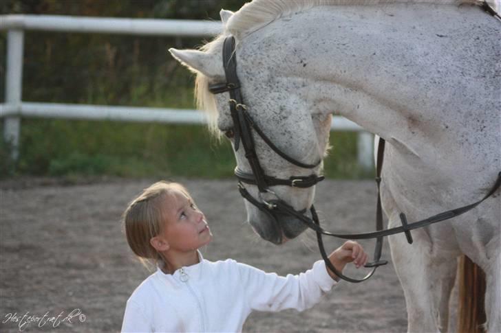Anden særlig race † Fillur † *Alting* <3 - verdens bedste billed, verdens bedste dig, man vil aldrig kunne finde en pony som dig, for en pony som dig var specieal, jeg elsker dig fille. Du var min fortid, men ville ønske du var min fremtid.  Billedet er taget af: hesteportreat.dk billede 1