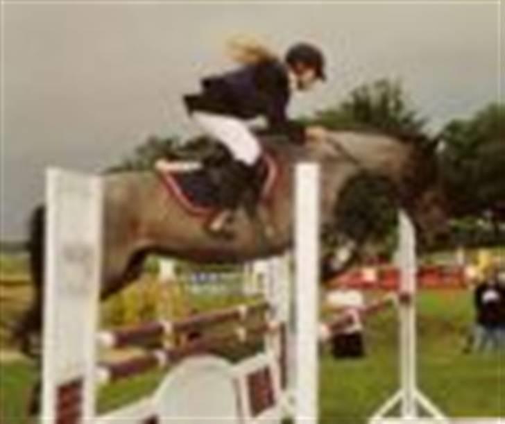 Connemara Molly Malone **R.I.P**:'( - Til sjællandsmesterskaberne ´05 billede 11