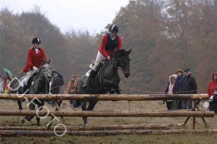 Connemara Molly Malone **R.I.P**:'( - Hubertus jagten ´05 sidste spring billede 12