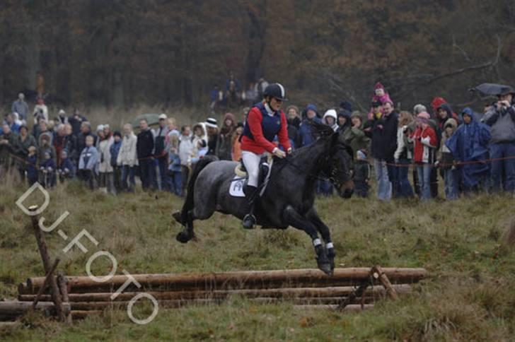 Connemara Molly Malone **R.I.P**:'( - Hubertusjagten ´05 - springer en grøft:) billede 13