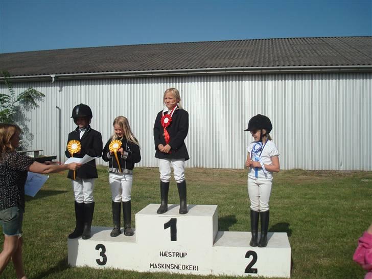 Anden særlig race Yarsmin - 1.plads på yarsmin. poulstrup stævne lisette billede 10