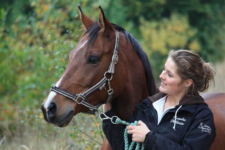 Fuldblod (XX) Honda - RIP. billede 19