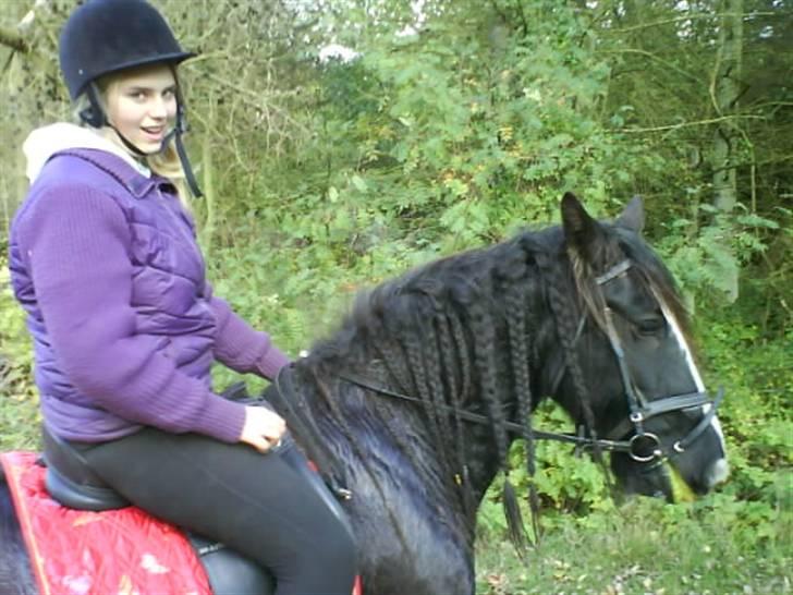 Irish Cob Jessie my Dream - Mig og jessie i skoven, med toby og line (: det var hyggeligt billede 13
