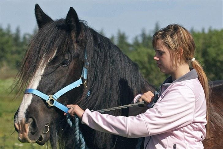 Irish Cob Jessie my Dream - Mig og jessie i skoven, med toby og line (: det var hyggeligt billede 14