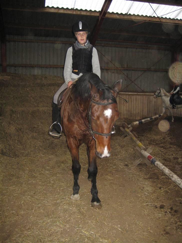 Anden særlig race Tobias (Sweety Monty) - du min skaat <33 ILY . - Foto: Michelle billede 11